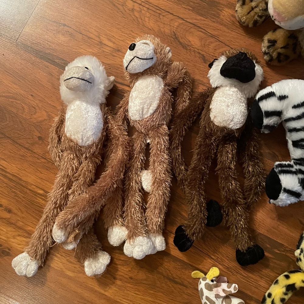 Stuffed Animals - Picture 2 of 5